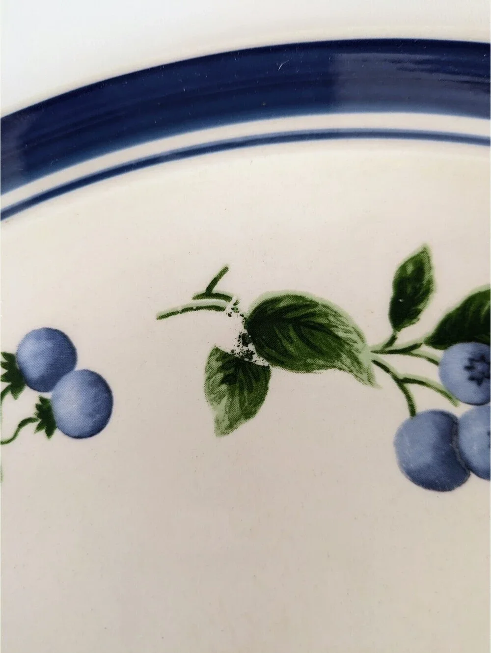 Vintage L.L. Bean Blueberry Dinner Plates, 11